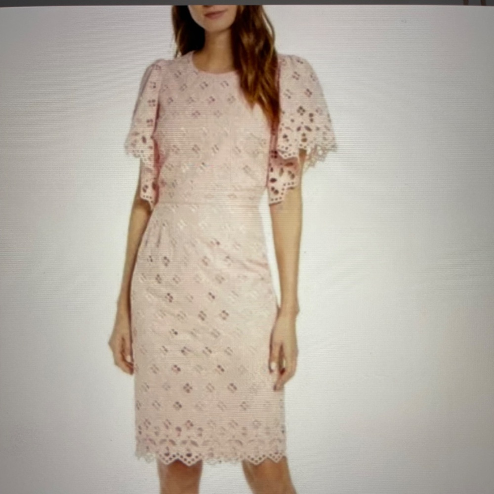 RACHEL PARCELL Women's Pink Eyelet Sheath Pink Midi Dress 2XL (16) - Picture 12 of 12